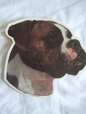 GRAND AUTOCOLLANT  - motif chien    Tête BOXER BRINGE N°1  oreilles non coupées