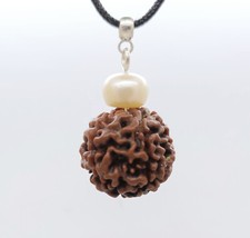 Pendentif Rudraksha Larme De Shiva Protection Aura Yoga Genuine Seed Pendant 