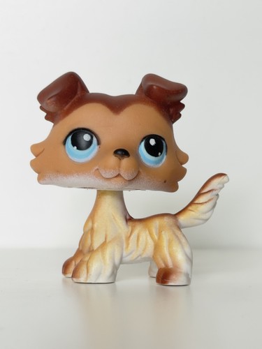 Petshop chien colley 58 bis - petshop,