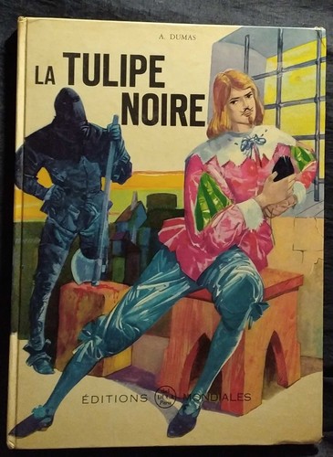 Tulipe noire alexandre - la,