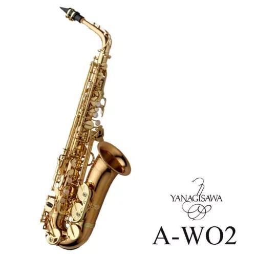 Saxophone alto yanagisawa - saxophone,
