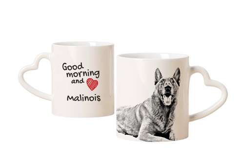 Malinois chien berger belge - berger,