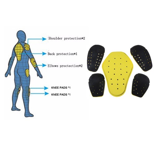 Paire protections dorsales - paire,