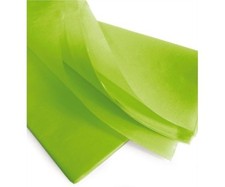 LOT 24 FEUILLES PAPIER SOIE VERT MOUSSELINE 50X75 CM ANIS GRANNY LOISIRS CREATIF