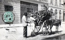 CPA 20 CORSE BASTIA UN