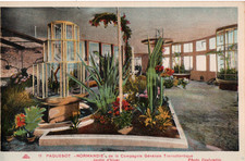 Carte postale paquebot - carte,