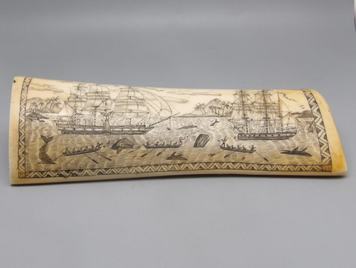 Scrimshaw replique cabinet de - scrimshaw,