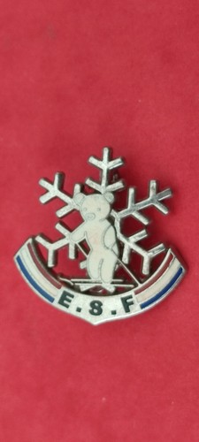 Ski ancien insigne - insigne, ourson