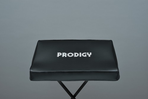 Moog prodigy synth - dust, cover