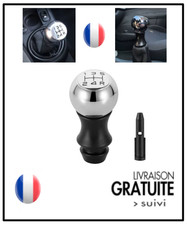Pommeau levier 5 vitesses POUR