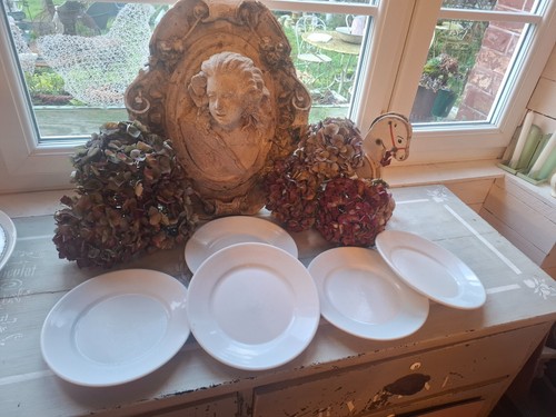 Assiettes blanches en - assiettes,