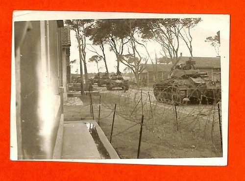 Guerre algerie photo - guerre, ?