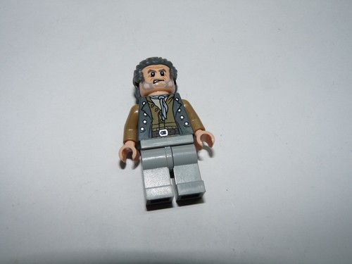 Minifigure lego pirates des - pirates,
