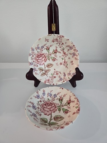 Johnson brothers rose - 2,