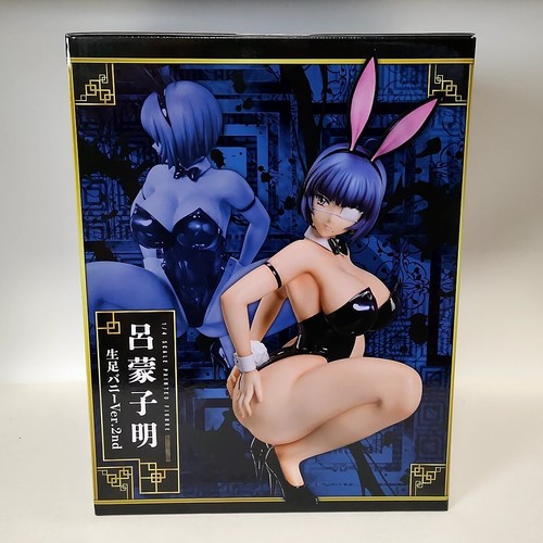 True ikkitousen ryoumo - ikkitousen,