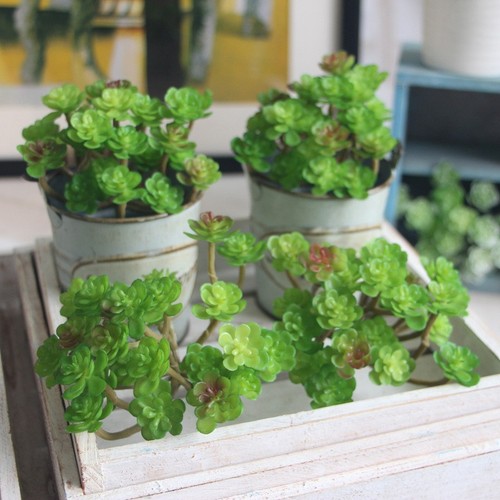 Plante artificielle simulation - plante,