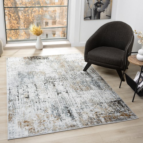 Tapis salon vintage - tapis, beige