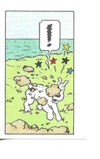 RARE / PETITE IMAGE ANCIENNE -