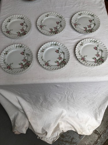 Assiettes plates - assiettes,