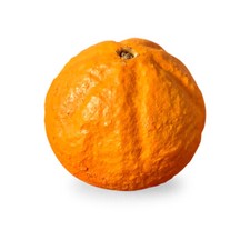 Sculpture mandarin fruit - sculpture,
