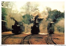 ARTP14-0976-TRAIN - un dimanche à saint-eutrope - 3 locomotives decauville -
