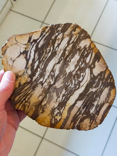 Belle jaspe chocolat polis - jaspe,