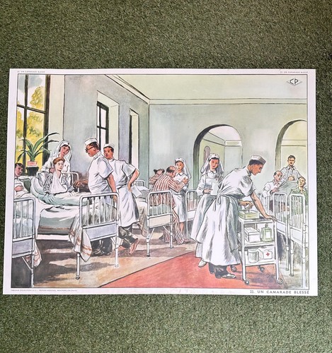 Affiche scolaire camarade - affiche,
