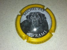 Capsule de Champagne FAY