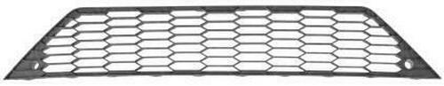 Grille pare choc pour seat - grille,