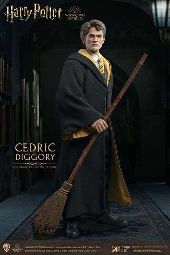 Figurine cedric diggory - figurine,