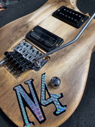 Highly popular washburn n4 - highly,