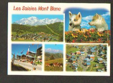 LE BEAUFORTAIN / LES SAISIES (73) CHIOT HUSKY , VILLAS & CHALETS-HOTELS