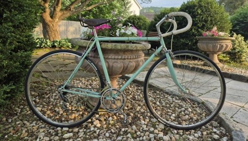 1950s bianchi campione - , del