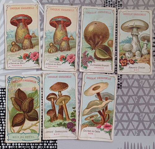 Lot chromos anciens - lot, 6