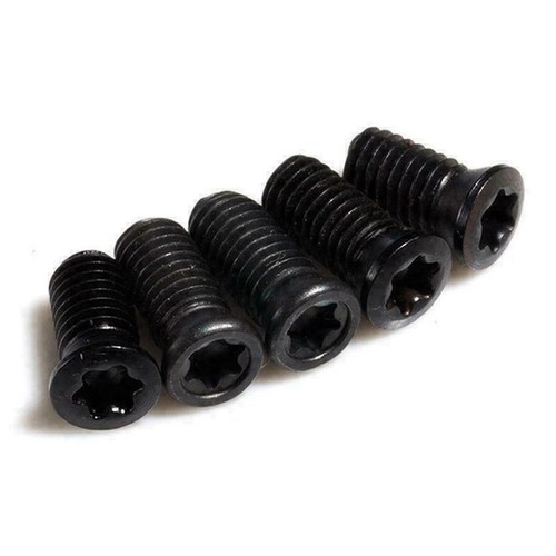 Vis torx haute - de,