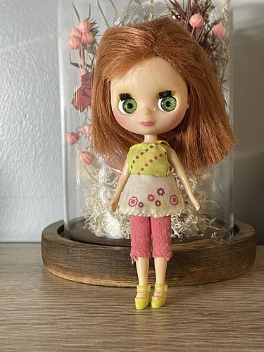 Blythe b19 outdoor - 🌺blythe,