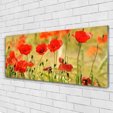Impression sur verre acrylique Image tableau 125x50 Nature Coquelicots