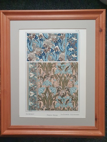 Snowdrop eugene grasset - snowdrop,