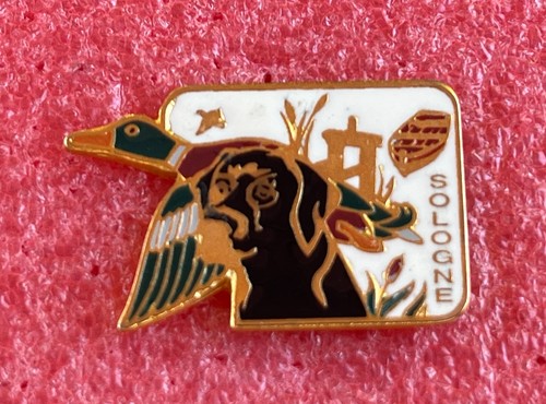 T36 pins chasse sologne - pins,