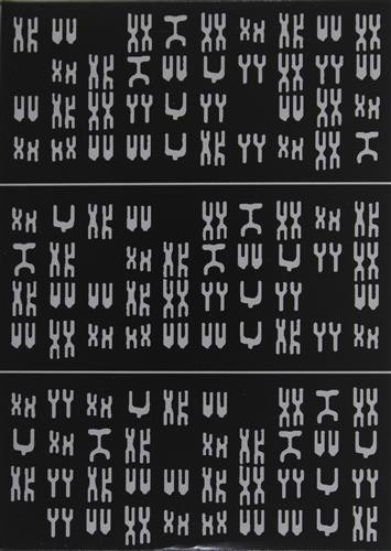 Shin megami tensei iii - shin,