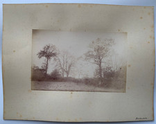 PHOTO ALBUMINE CHAMPS DE POMMES DE TERRE A LA HIMBAUDIERE G6631