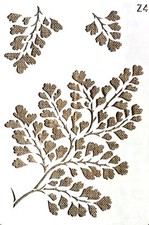 POCHOIR PLASTIQUE 26*18cm 