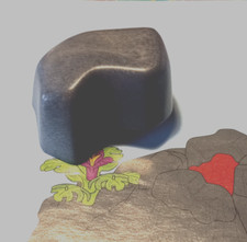 PLAYMOBIL 4170-saurus team