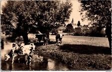 24855 cpsm 61 env. de Rémalard - L' Huisne à Boissy Maugis