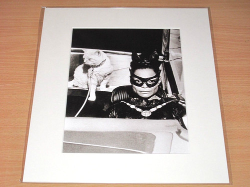 Lumas photo image eartha - photo,