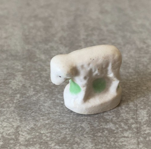 Feve mouton - ,