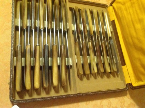 Pradel corne véritable 24 - corne,