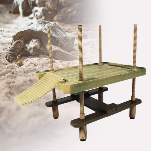 Plate forme selsification - plate-forme,