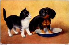 22847 cpa Fantaisie - Chats - Chiens