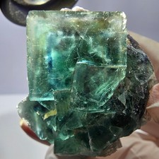 Rare cube de fluorite